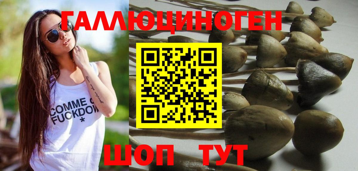 Псилоцибиновые грибы Psilocybe  Галлюциногенные грибы прущие грибы  Сибай  Вход с VPN 